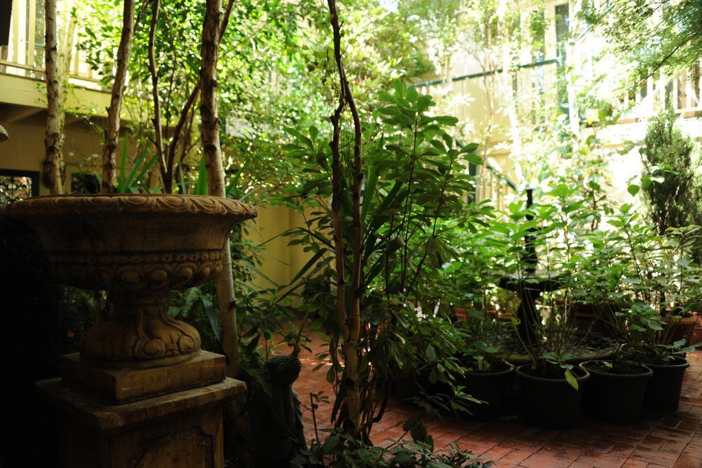Andre'S Mews Aparthotel เมลเบิร์น ภายนอก รูปภาพ